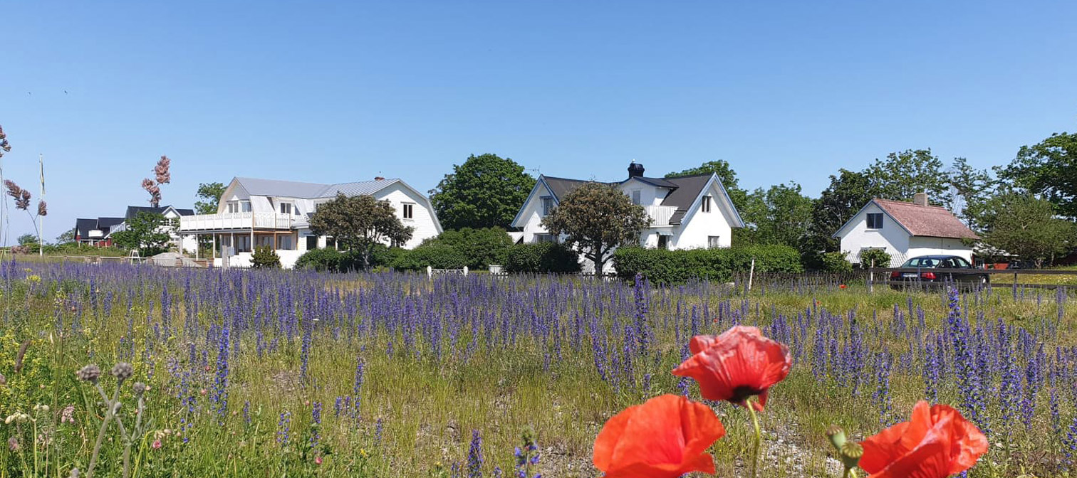 Hero background image